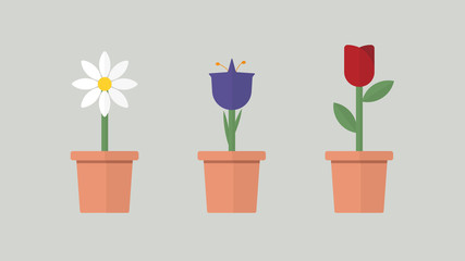 Minimal Flat Design: Flower Variations, Daisy, Blue Bell and Rose Illustration