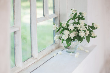 Fototapeta na wymiar jasmine in vase on windowsill