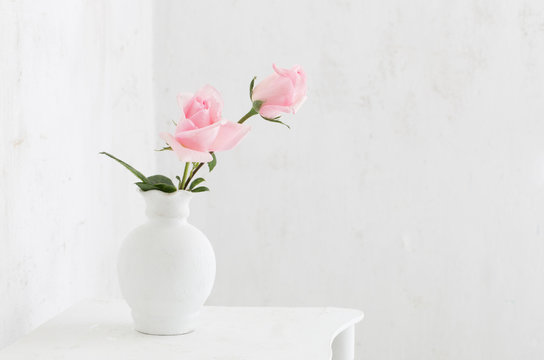 roses oin vase on white background