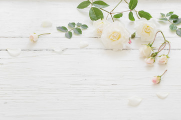 Fototapeta premium róże na białym tle drewnianych