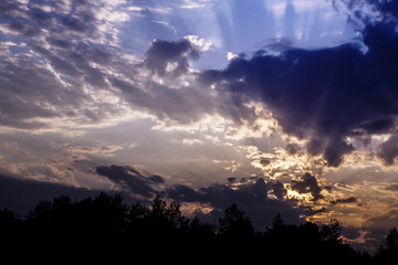 dark blue clouds over forest