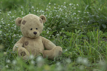 Brown Teddy Bear sitting in grass field