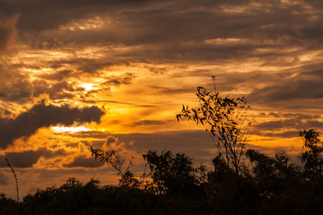 Fototapeta na wymiar Beautiful sunset with orange clouds behind some trees