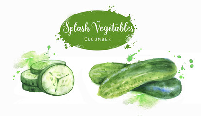 Hand drawn watercolor illustration set of fresh green cucumbers with splashes