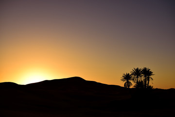 Fototapeta na wymiar Contrasts in the dawn of the Sahara desert. Photograph taken somewhere in Merzouga (Morocco).