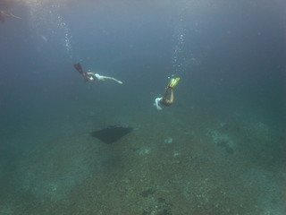 Swimming with Reef manta ray-Manta alfredi-Riffmanta in the waters around Komodo Island- Mantapoint Komodo National Park, Labuhanbajo, Flores