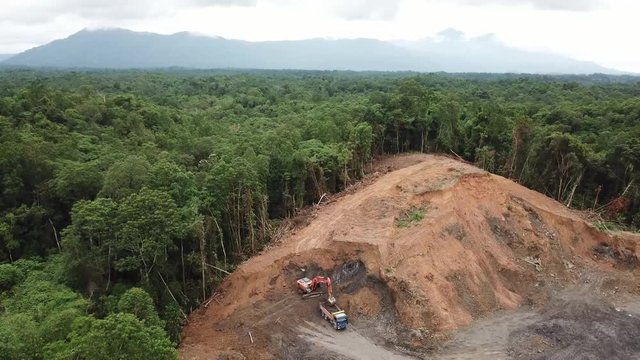 Deforestation in Borneo, Malaysia