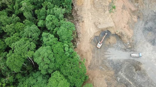 Deforestation in Borneo, Malaysia