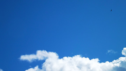 White clouds on a blue sky background.Natural background.