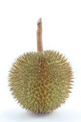 Durian isolated on white background, Salika is a durian in southern Thailand