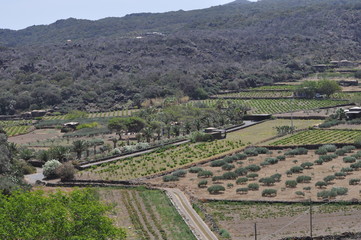 Naklejka premium Pantelleria