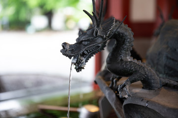 Statue of dragon spraying the water.