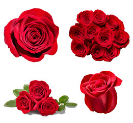 flower rose petal blosspm background