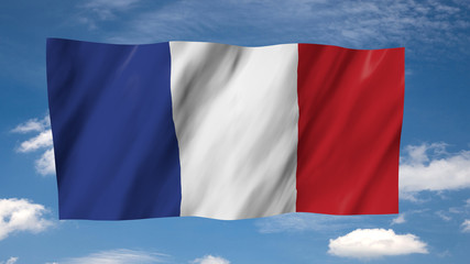 The French flag in 3d, waving in the wind, on sky background.