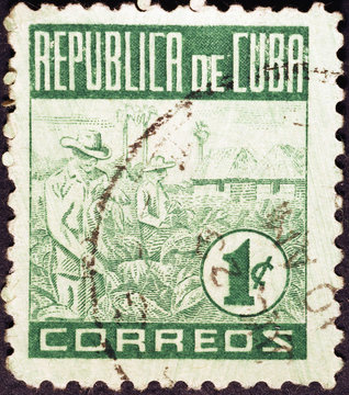 Tobacco plantations on very old cuban postage stamp