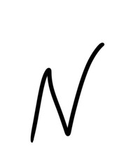 Expressive brush calligraphic handwritten script letters N