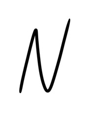 Expressive brush calligraphic handwritten script letters N