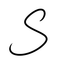 Expressive brush calligraphic handwritten script letters S