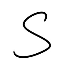 Expressive brush calligraphic handwritten script letters S