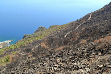 Pantelleria