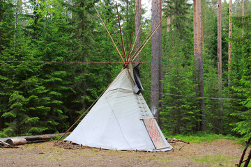 wigwam or teepee standing in summer coniferous forest. © wolfness72