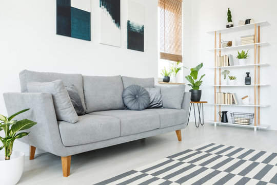Cushions on grey couch and carpet in minimal living room interior with plant and posters. Real photo