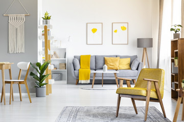 Yellow armchair on rug near plant in open space interior with posters above grey couch. Real photo