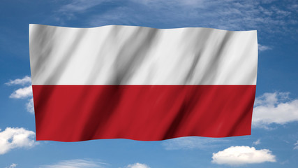 The Polish flag in 3d, waving in the wind, on sky background.