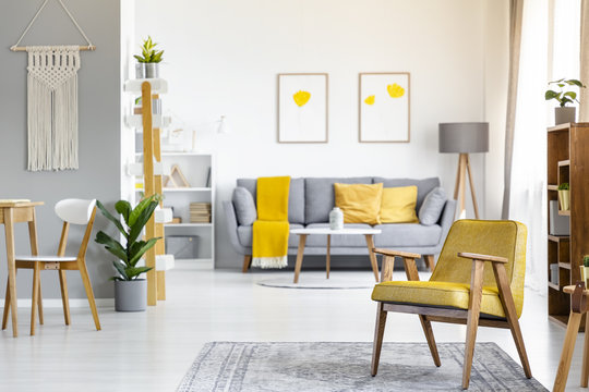 Yellow armchair on rug near plant in open space interior with posters above grey couch. Real photo