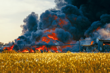 Fototapeta na wymiar Landfill fire among fields and huge black smoke cloud
