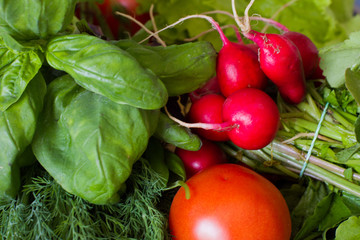 Vegetables - tomatoes, radish and fresh herbs on a stone background. Proper healthy eating. Vegetarianism.