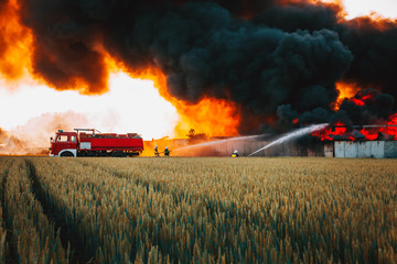 Huge black smoke from the fire among fields, extinguishing action