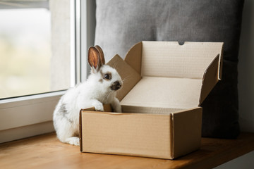 decorative white and black rabbit on wooden window sill