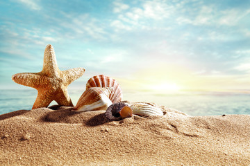 beach background and shell decoration. 