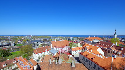 Zabudowa w estońskiej stolicy, Tallinie przy wybrzeżu morza bałtyckiego - czerwień dachów i stara architektura