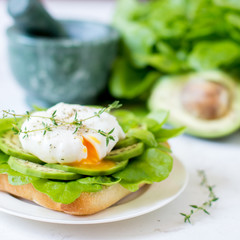 Egg-poached with ciabatta, avocado and baby lettuce leaves