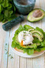 Egg-poached with ciabatta, avocado and baby lettuce leaves
