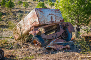 Abandoned vehicle in the middle of the field in a reforested land of pines.