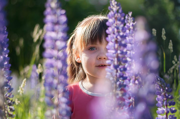 Cute little girl in purple lupine flowers