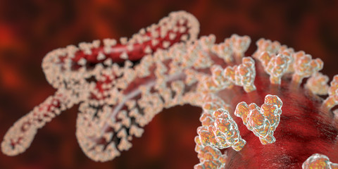 Close-up view of Ebola virus, the causative agent of Ebola hemorrhagic fever, with glycoprotein spikes on its surface, 3D illustration