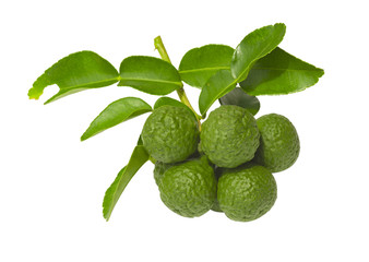 Citrus hystrix and green leaf on white background