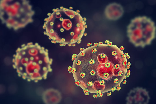 Lassa fever viruses, 3D illustration. RNA-viruses from Arenaviridae family, they have inner inclusions and outer glycoprotein spikes, the causative agent of Lassa hemorrhagic fever
