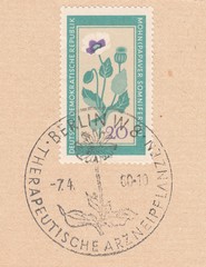 Poppy soporific (Papaver somniferum).Special postmark Berlin,therapeutic medicinal plants.Postage stamp Germany 1960