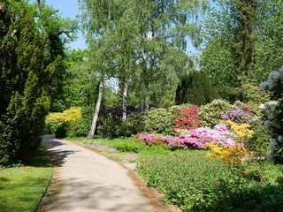 Park mit blühenden Büschen