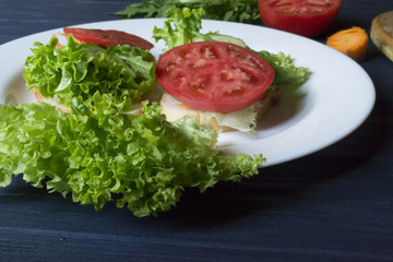 The sandwiches with vegetables on the plate. Vegetarian food. Ingredients for cooking on the table.
