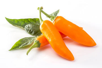 Yellow chili peppers isolated on white background