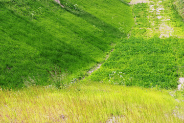 Green grass planted especially on the slope and in the roadside of a wide highway.