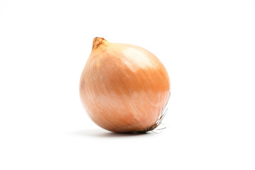 ripe onion on a white background