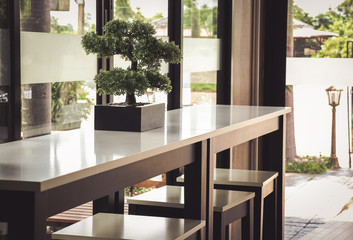 tree pots placed on the table of a coffee shop