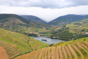 Douro river cruise